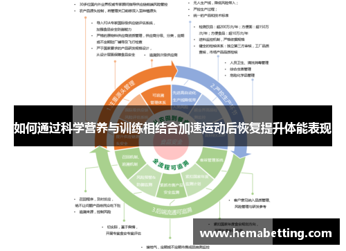 如何通过科学营养与训练相结合加速运动后恢复提升体能表现